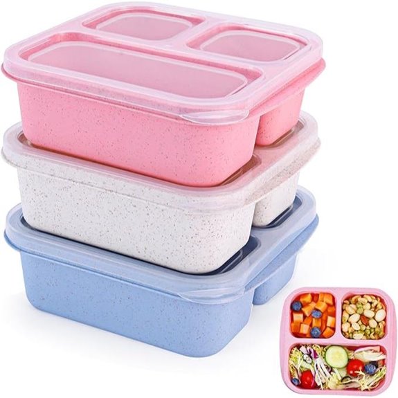 Bento Box 3-Pack Snack Containers (3-Compartment)